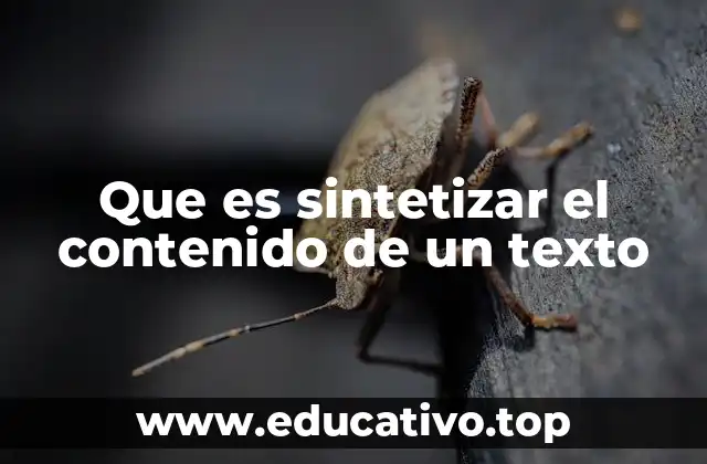 Que es sintetizar el contenido de un texto