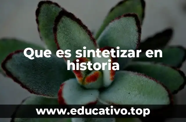 Que es sintetizar en historia