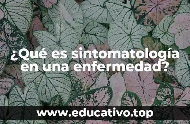 ¿Qué es sintomatología en una enfermedad?