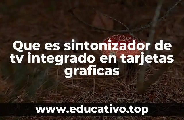 Que es sintonizador de tv integrado en tarjetas graficas