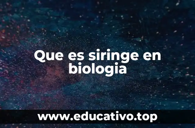 Que es siringe en biologia
