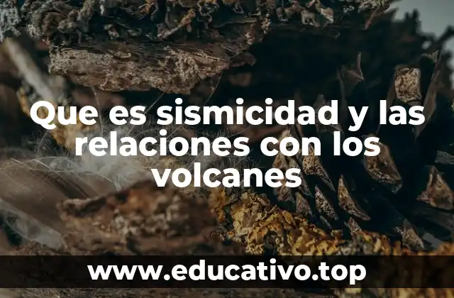 Que es sismicidad y las relaciones con los volcanes