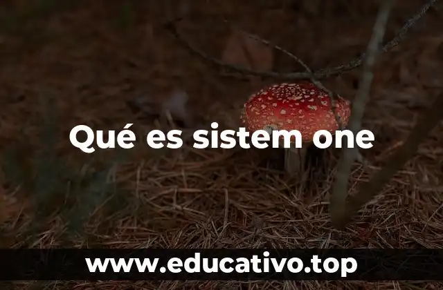 Qué es sistem one