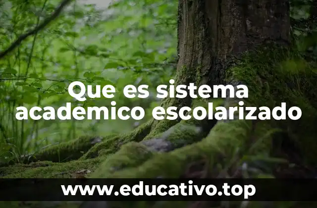 Que es sistema academico escolarizado