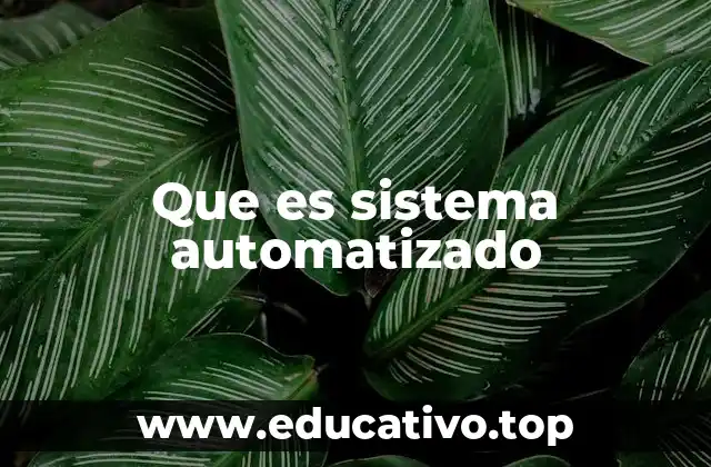 Que es sistema automatizado