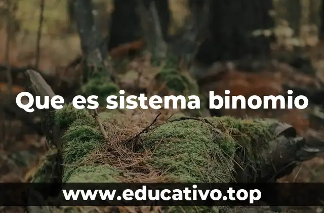 Que es sistema binomio