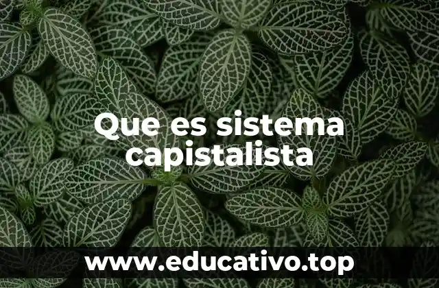 Que es sistema capistalista