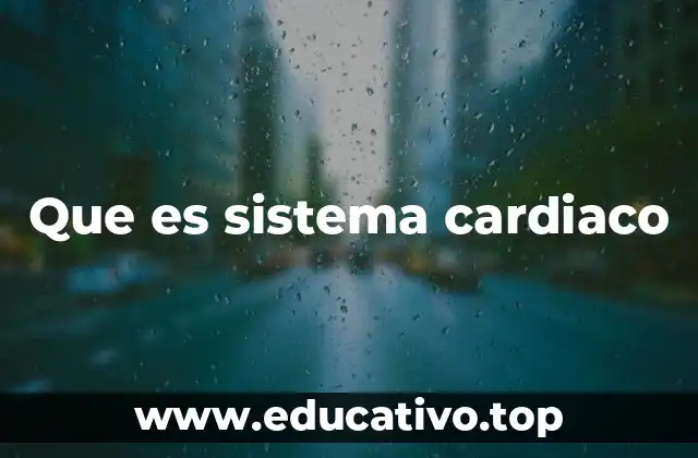 Que es sistema cardiaco
