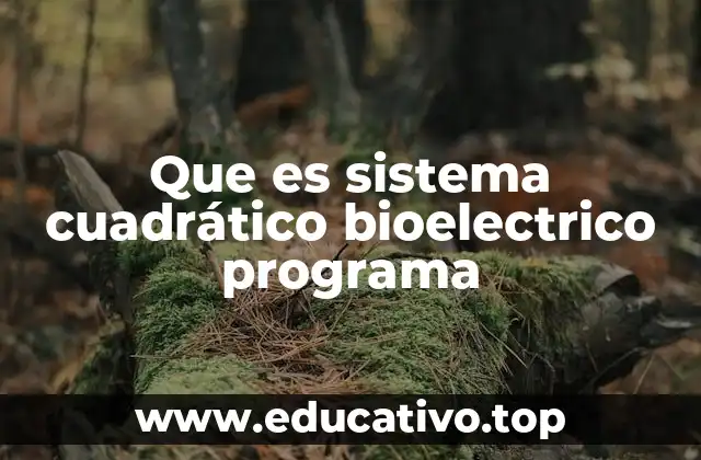 Que es sistema cuadrático bioelectrico programa