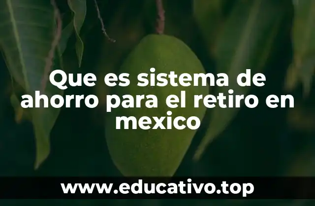 Que es sistema de ahorro para el retiro en mexico