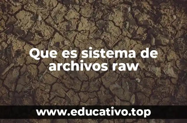 Que es sistema de archivos raw