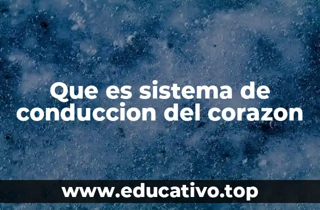 Que es sistema de conduccion del corazon