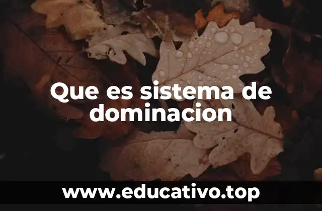 Que es sistema de dominacion