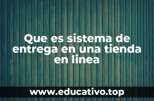 Que es sistema de entrega en una tienda en linea