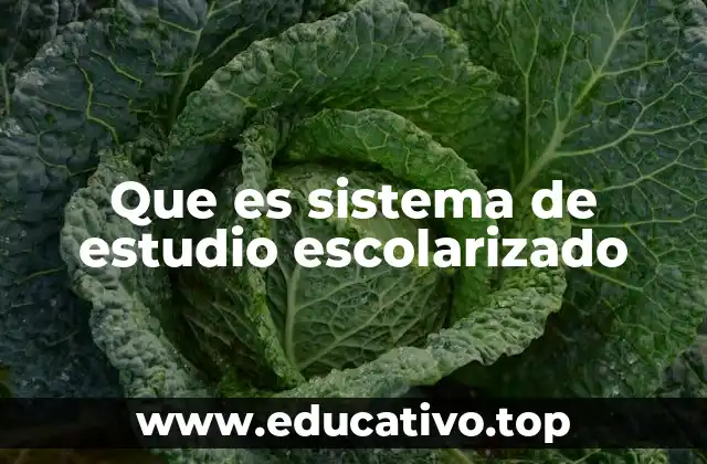 Que es sistema de estudio escolarizado