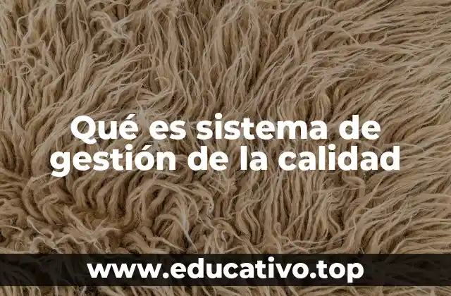 La importancia del enfoque en calidad dentro de una organización