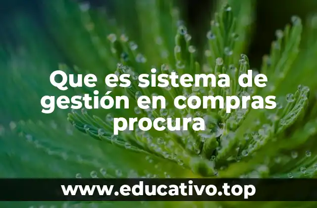 Que es sistema de gestión en compras procura