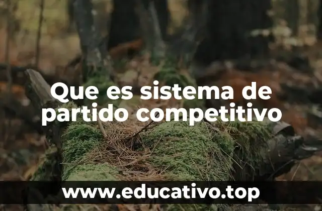 Que es sistema de partido competitivo
