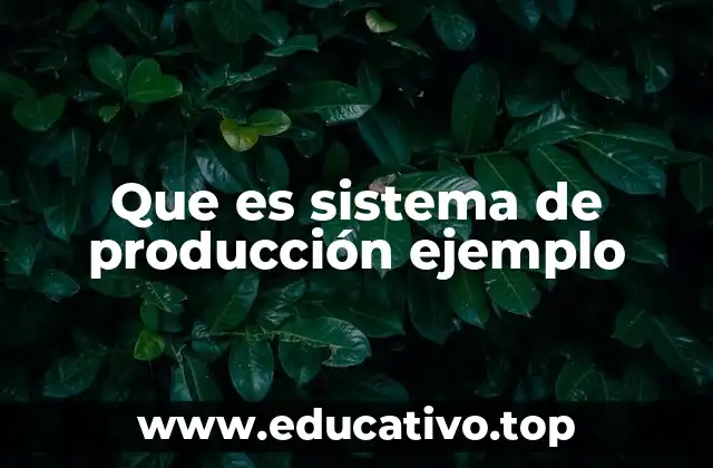 Que es sistema de producción ejemplo