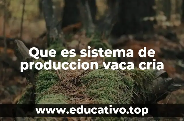 Características principales del sistema de producción con vaca cria