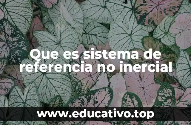 El papel de los sistemas no inerciales en la física moderna