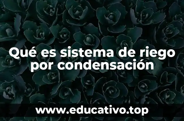 Qué es sistema de riego por condensación