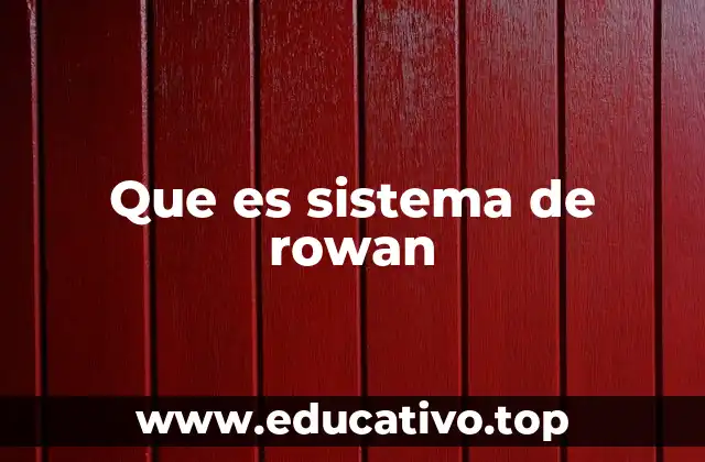 Que es sistema de rowan