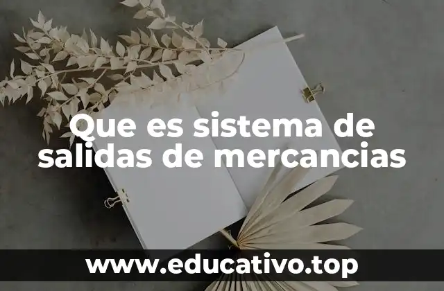 Que es sistema de salidas de mercancias