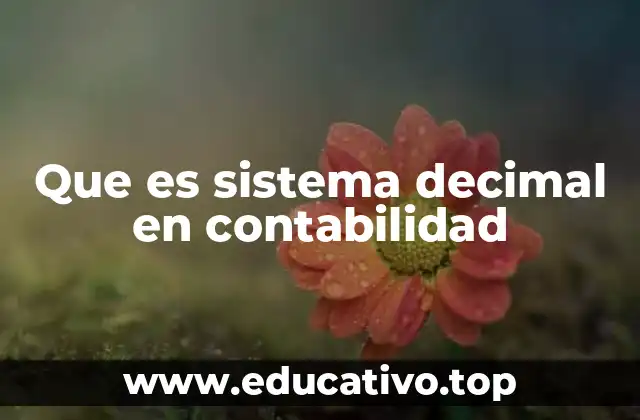 Que es sistema decimal en contabilidad