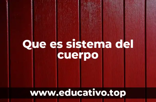 Que es sistema del cuerpo