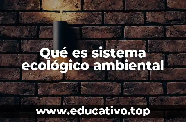 Qué es sistema ecológico ambiental