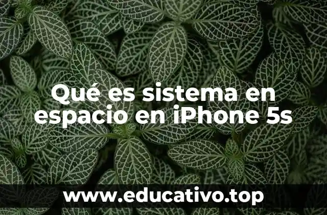 Qué es sistema en espacio en iPhone 5s
