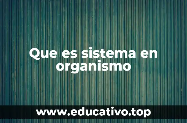 Que es sistema en organismo