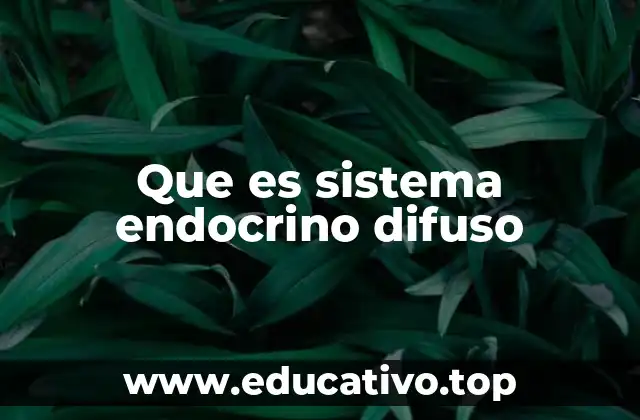 Que es sistema endocrino difuso