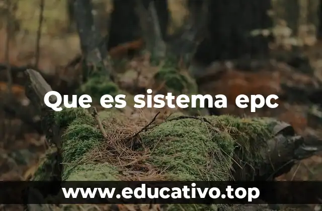 Que es sistema epc