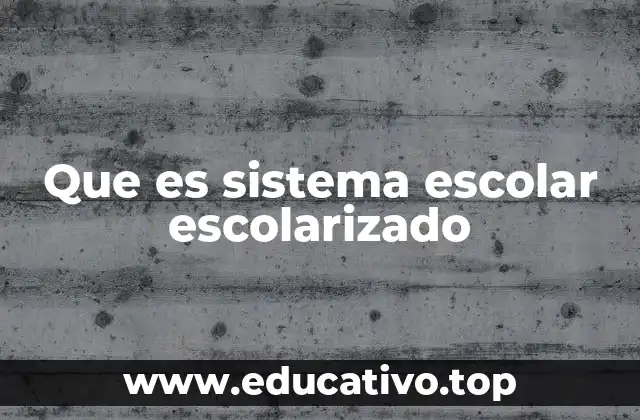 Que es sistema escolar escolarizado