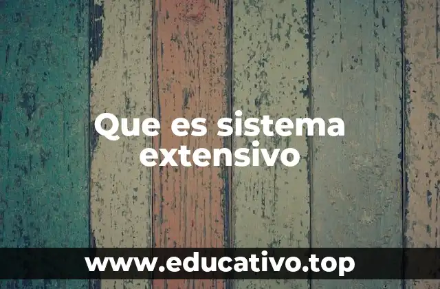 Que es sistema extensivo
