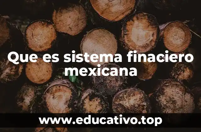 Que es sistema finaciero mexicana