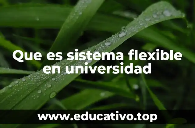 Que es sistema flexible en universidad