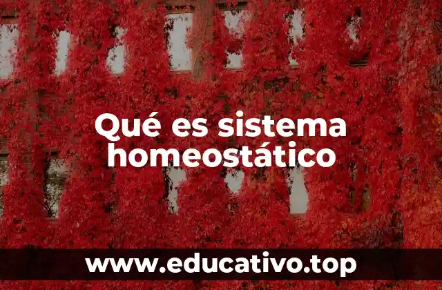 Qué es sistema homeostático
