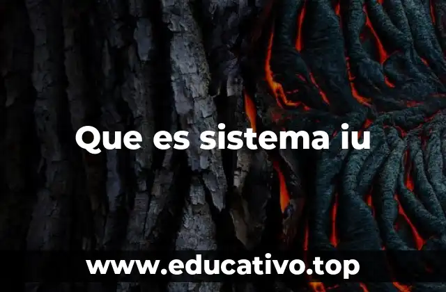Que es sistema iu