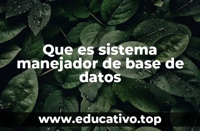 Que es sistema manejador de base de datos