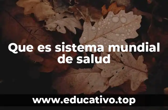 Que es sistema mundial de salud