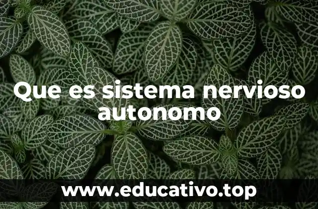 Que es sistema nervioso autonomo
