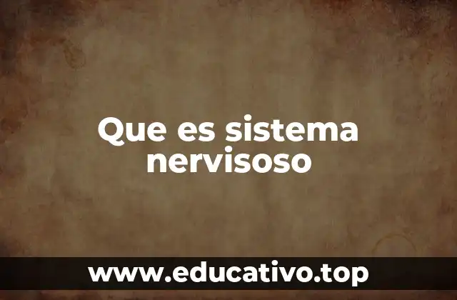 Que es sistema nervisoso