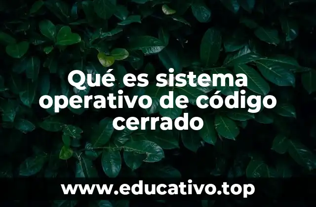 La importancia de los sistemas operativos en el ecosistema tecnológico