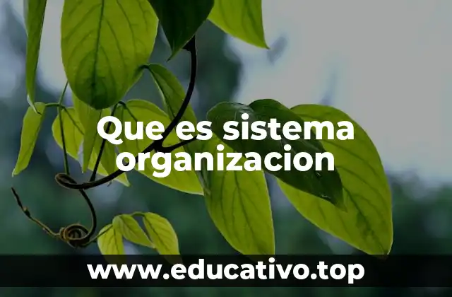 Que es sistema organizacion