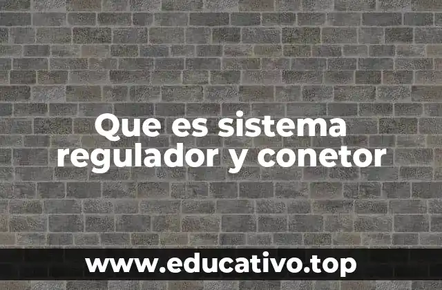 Que es sistema regulador y conetor