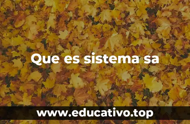 Que es sistema sa