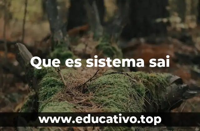 La importancia de los sistemas integrados en la gestión empresarial